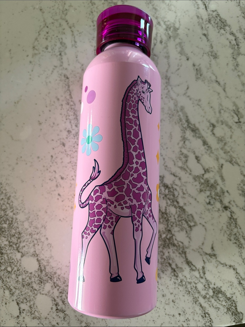 Pink Giraffe Stainless Water Bottle with Purple Cap 650ML